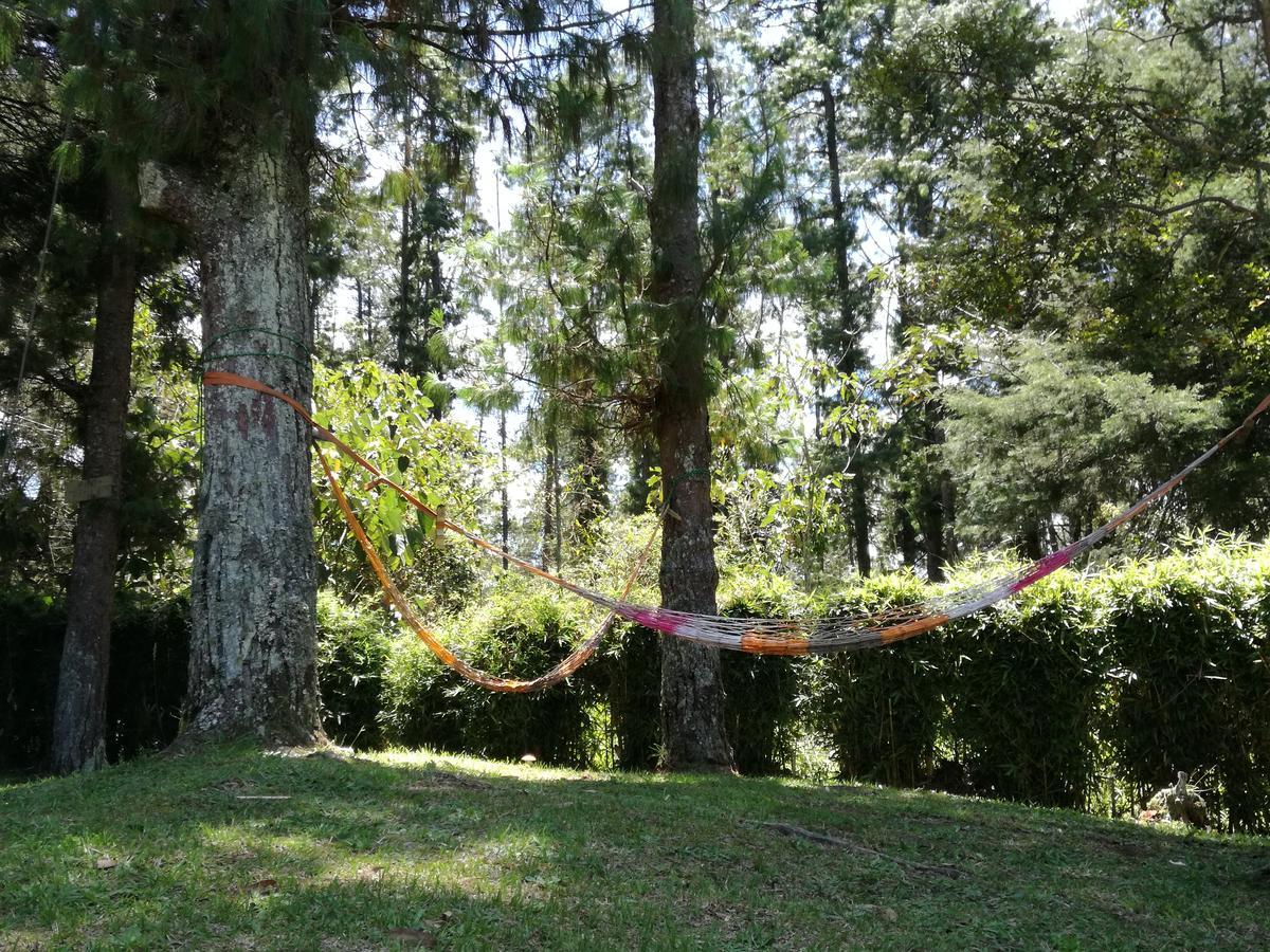 Al Bosque Hostel & Glamping Santa Elena  Exterior foto